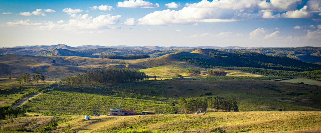 Uruguay countryside hills and farmland — peaceful rural lifestyle options for expats in Uruguay.
